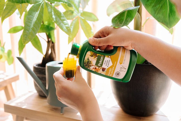 Persoon giet Pokon kamerplantenvoeding in een maatbeker