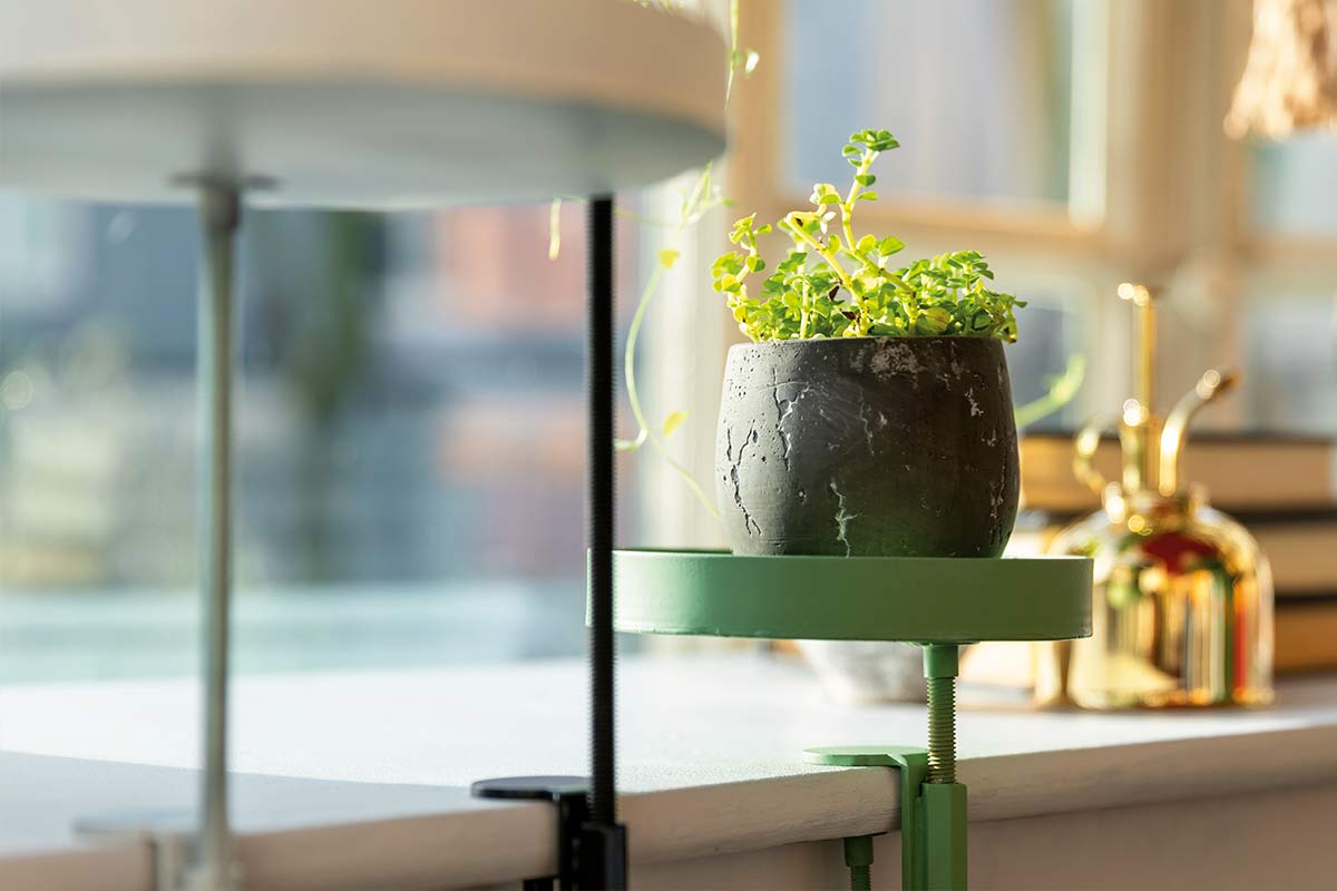 Decoratieve tafelklem met plant in pot op een vensterbank
