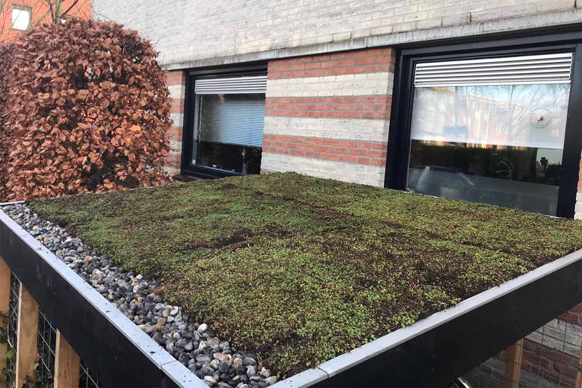 Uitzicht op een extensief groendak op een gebouw