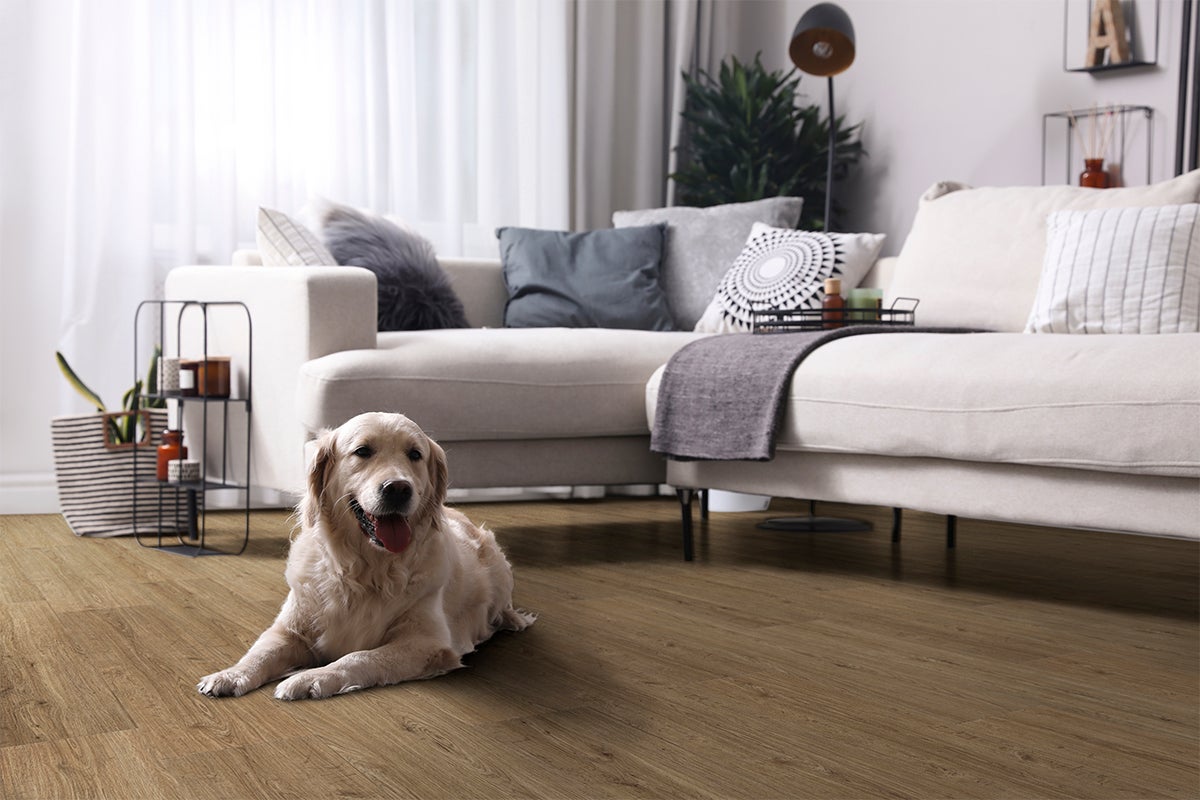 Lichte woonkamer met hoekbank en een hond op een vloer met eikenlook.