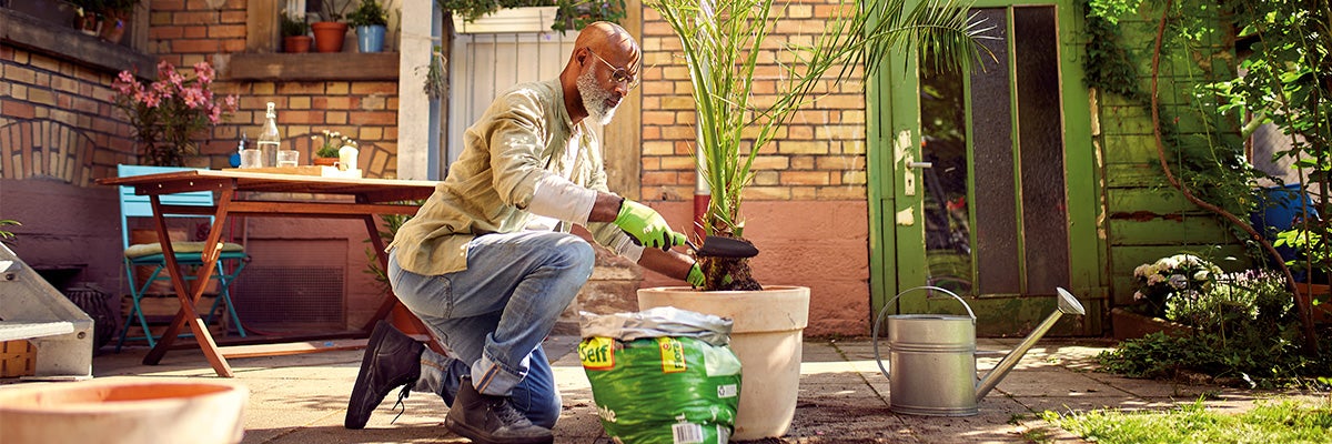 Man plant palm in tuin met tuingereedschap en potgrond.
