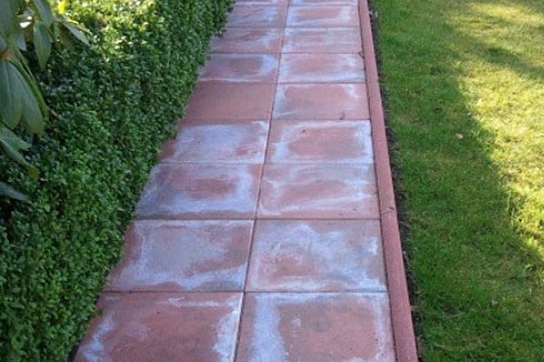Tuinpad van betonnen straatstenen naast gras en heg