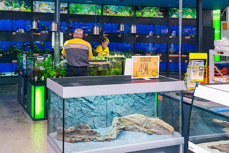 Aquariumafdeling in de Hornbach met medewerkers en tentoongestelde aquaria