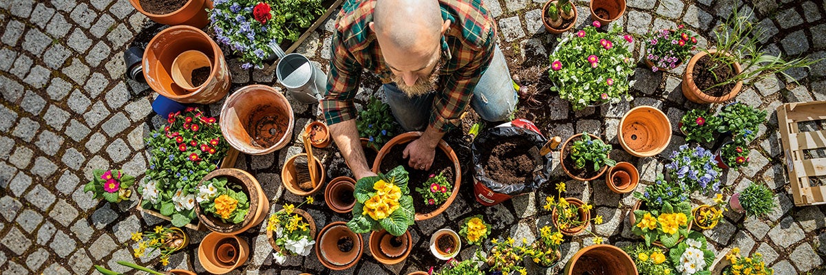Man plant bloemen in potten in de tuin. Plantenbakken en tuingereedschap zijn om hem heen geplaatst.