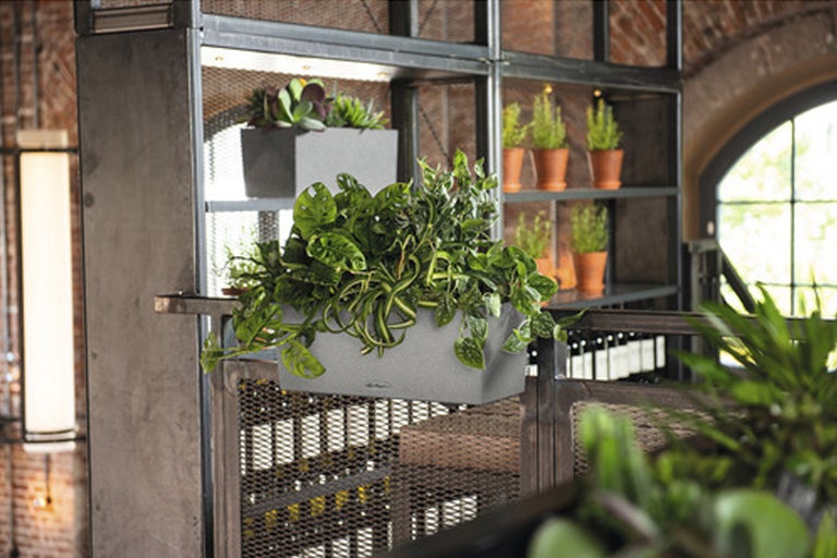 Stellingkast met planten en plantenbakken