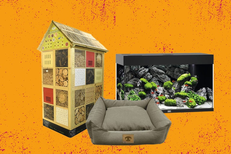 Houten insectenhotel, aquarium met rotsen en vissen, hondenmand