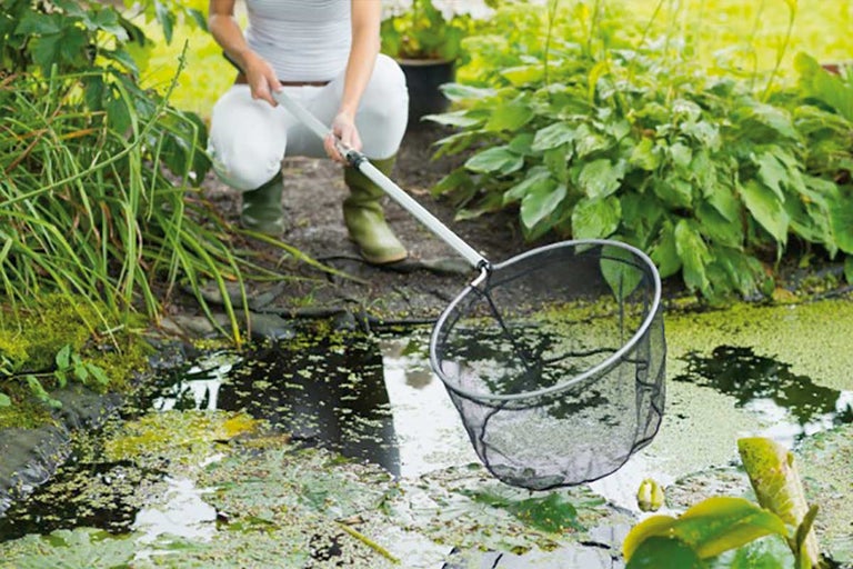 Persoon met vijvernet bij de tuinvijver voor reiniging