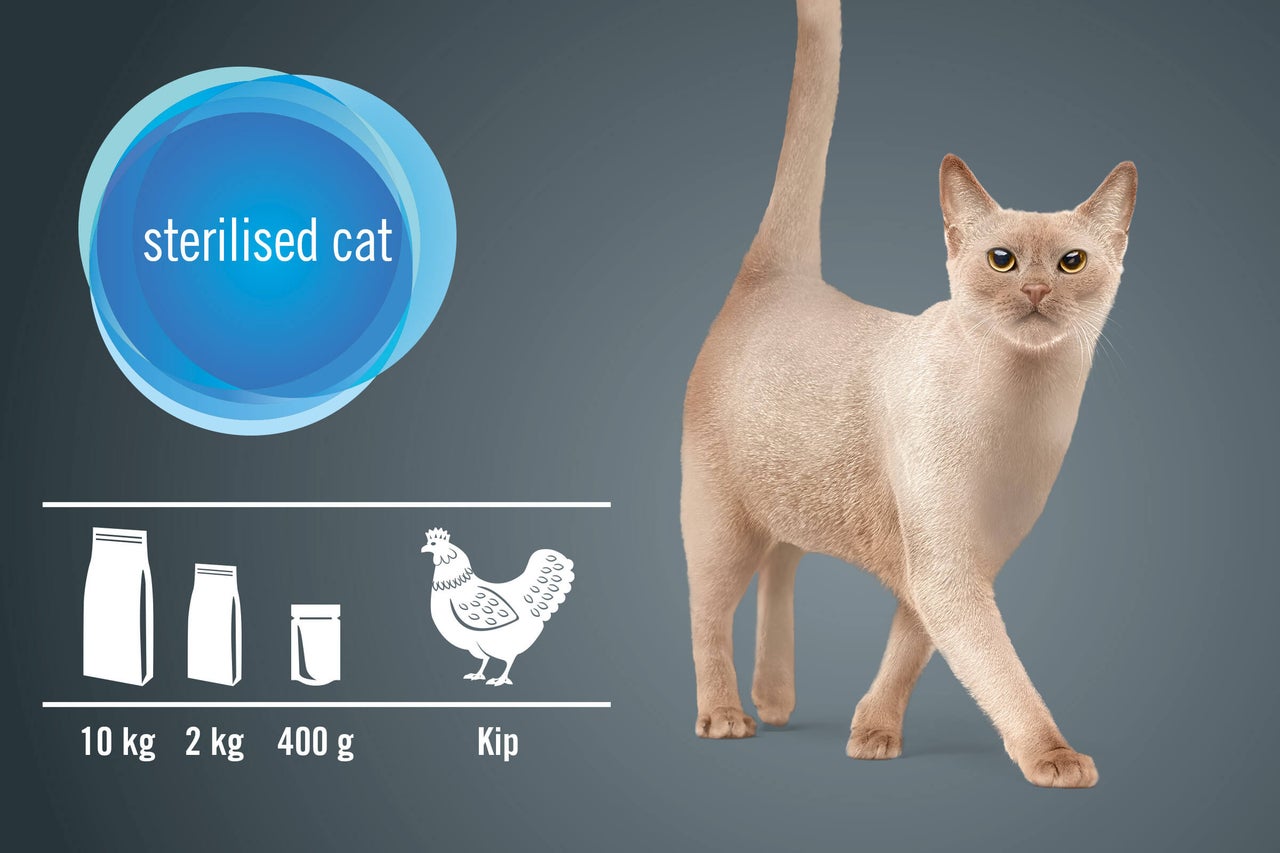 Kattenvoer voor gesteriliseerde katten met de smaak van gevogelte in verpakkingen van 400 gram, 2 kilogram en 10 kilogram