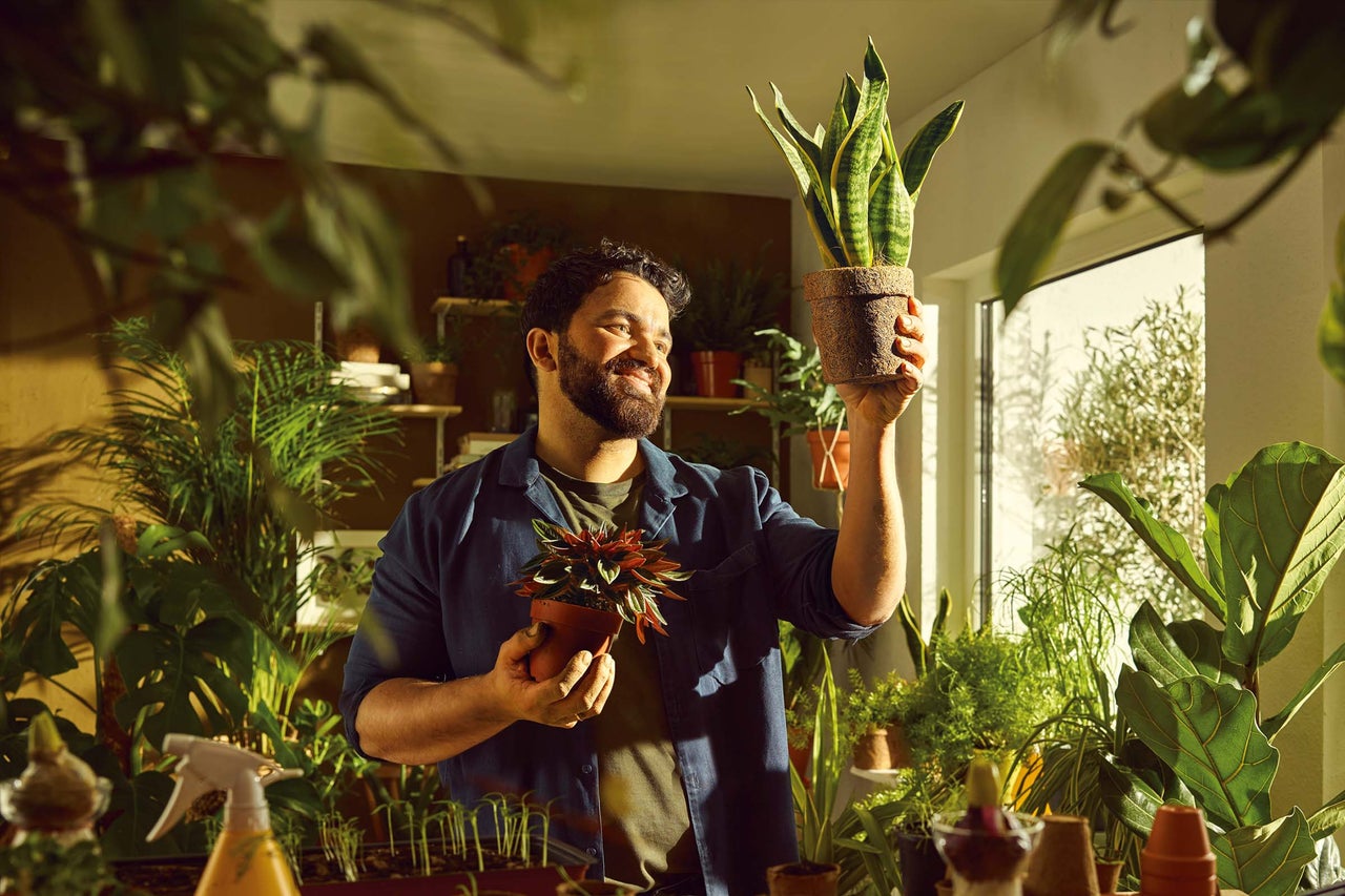 Man omringd door kamerplanten, die een Sansevieria en een andere plant in een pot vasthoudt.