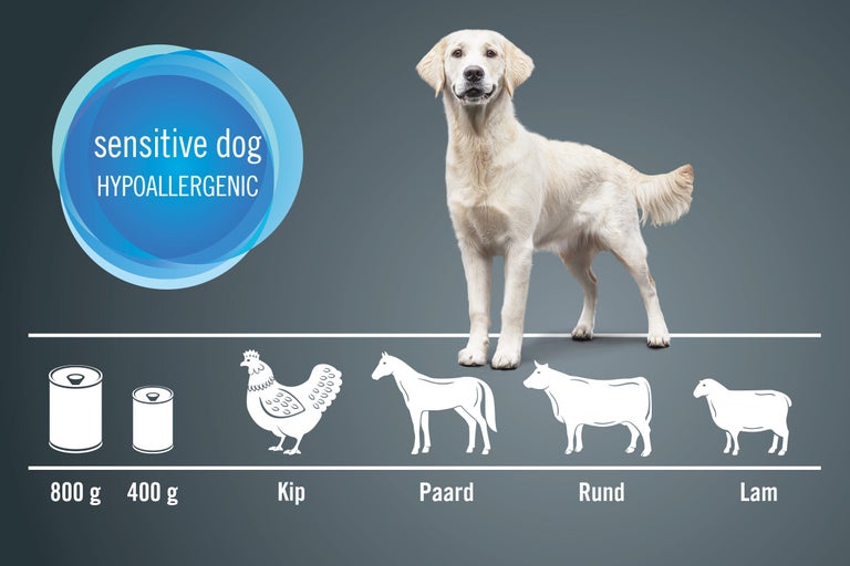 Illustratie van hypoallergeen hondenvoer voor gevoelige honden met de eiwitbronnen kip, paard, rund en lam.