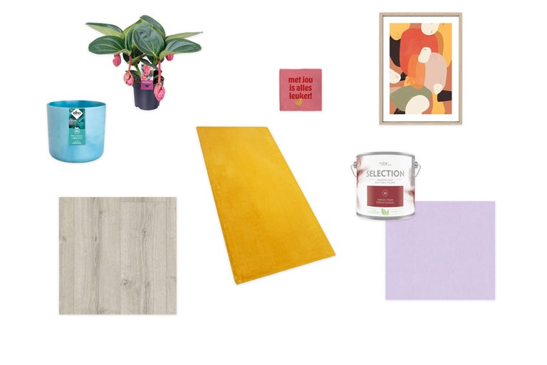 Kamerdecoratie met Medinilla plant, sierpot, tapijt, muurverf, laminaat en wanddecoratie