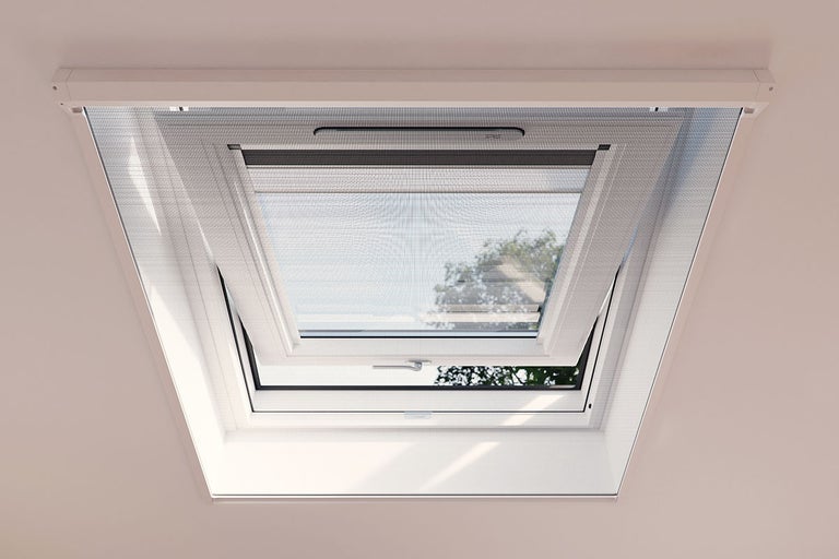 Dakvenster met insectenhor van binnenuit gezien