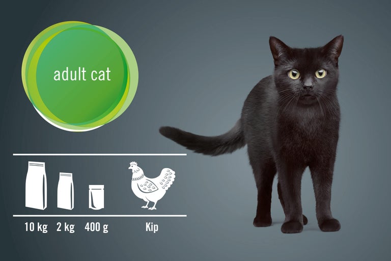 Illustratie van kattenvoer voor volwassen katten met de smaak van kip in verschillende verpakkingsgroottes en een zwarte kat