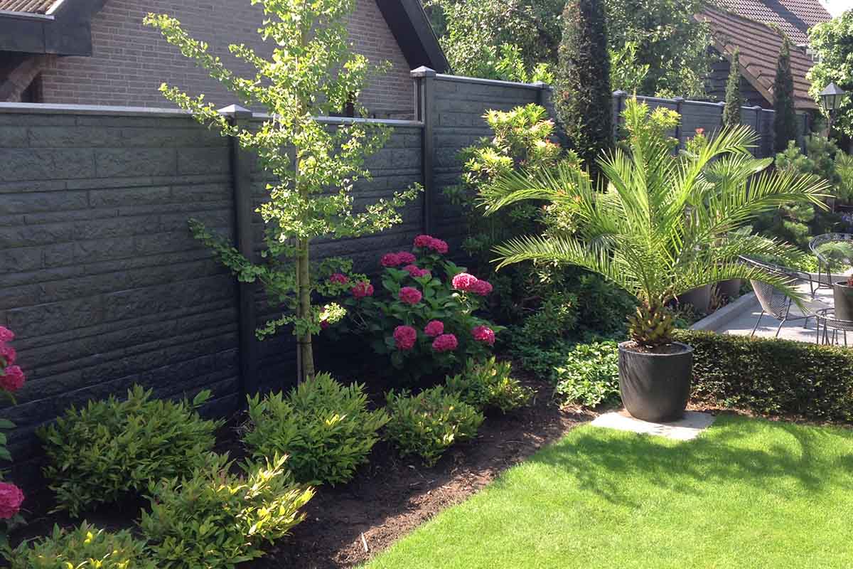 Tuinscene met betonnen schutting, bomen, struiken en bloemen voor privacy en tuinontwerp