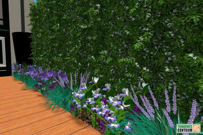 Tuinscène met groene haag, bloeiende bloemen en houten pad