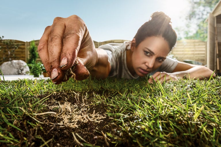 Vrouw zaait graszaad in de tuin.