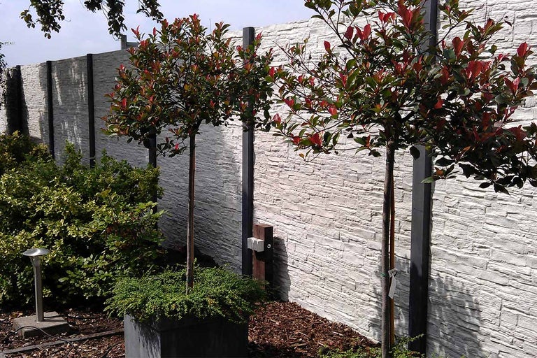 Tuinscene met privacyscherm en bomen