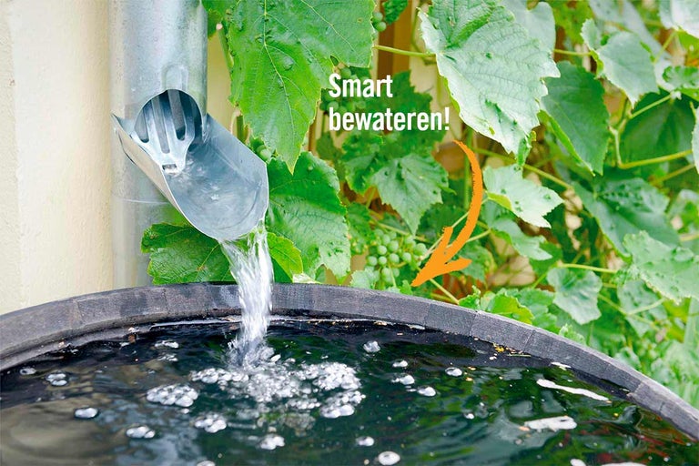 Regenwater stroomt van een regenpijp in een watervat voor tuinbewatering.