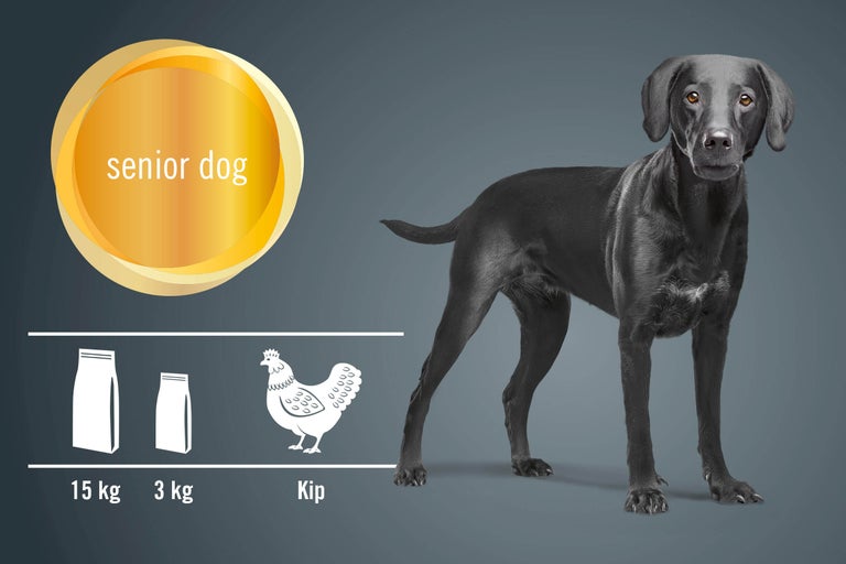 Illustratie van hondenvoer voor oudere honden met kipsmaak, verkrijgbaar in zakken van 15 kg en 3 kg.