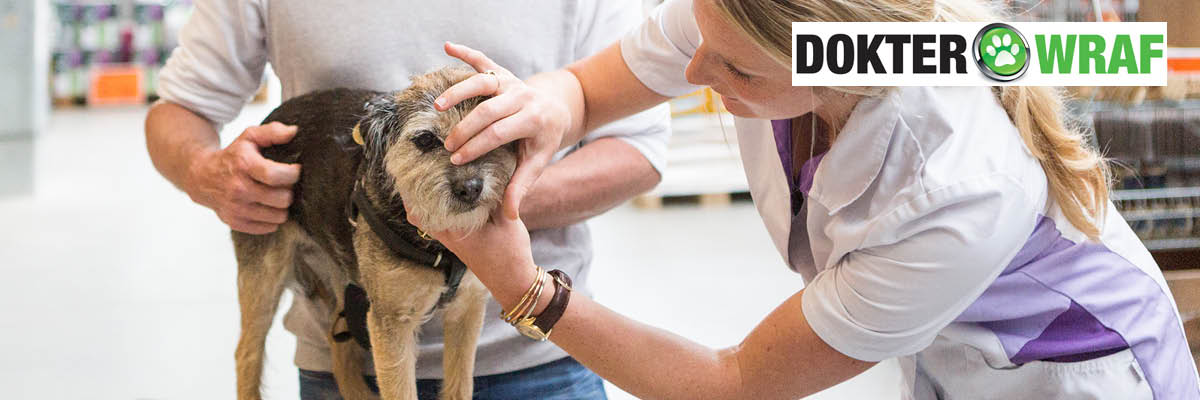 Dierenarts onderzoekt een hond, vastgehouden door zijn eigenaar. Op de achtergrond staat het bedrijfslogo van Dokter WRAF.