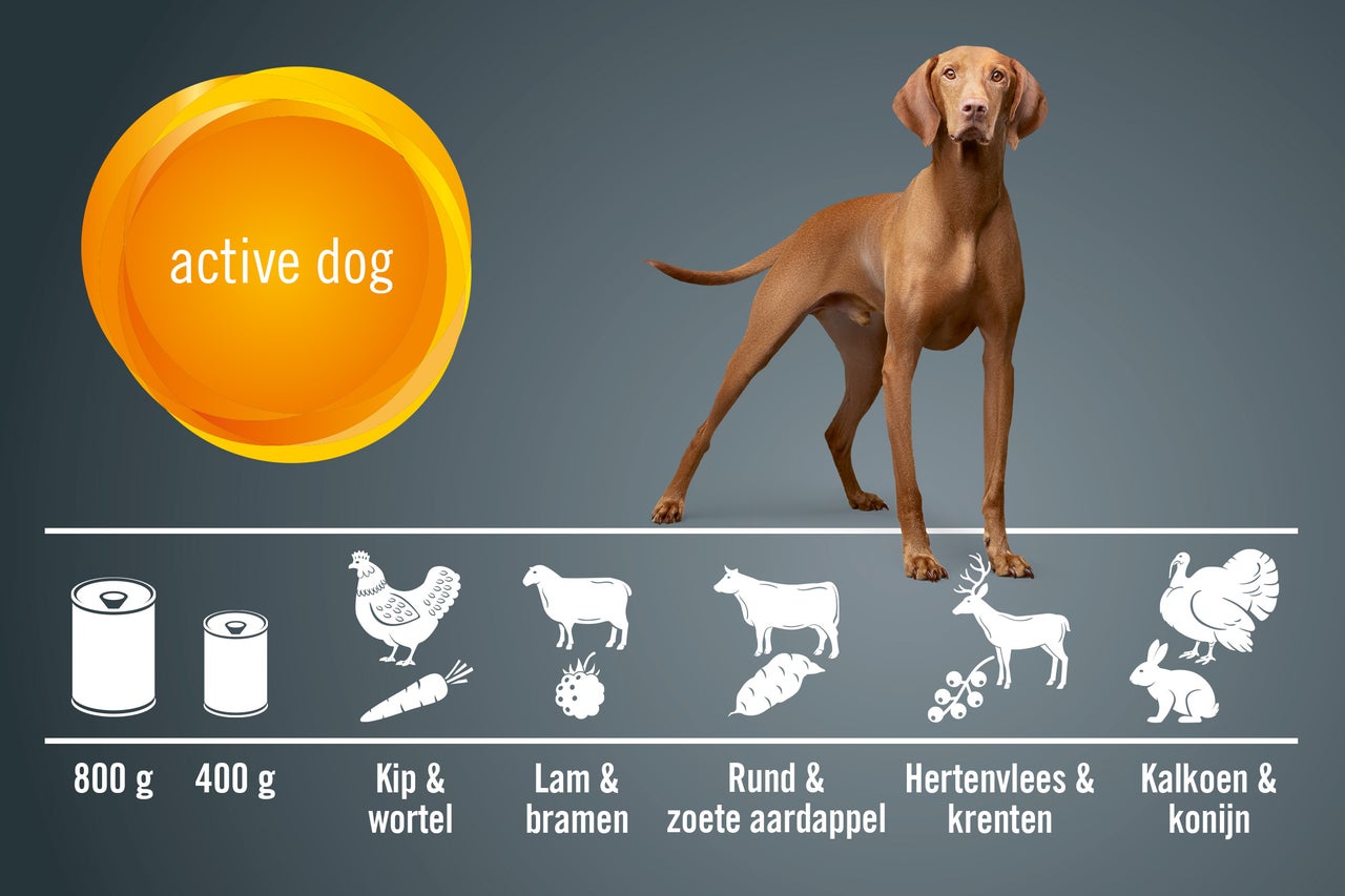 Illustratie van hondenvoer voor actieve honden met kip, lam, rund, hert, kalkoen en konijn