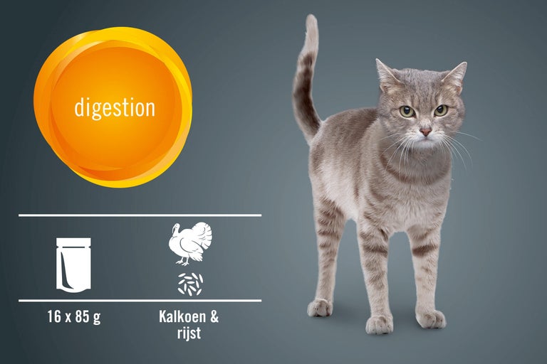Kat met symbolen voor spijsvertering, kalkoen en rijst, 16 maal 85 gram