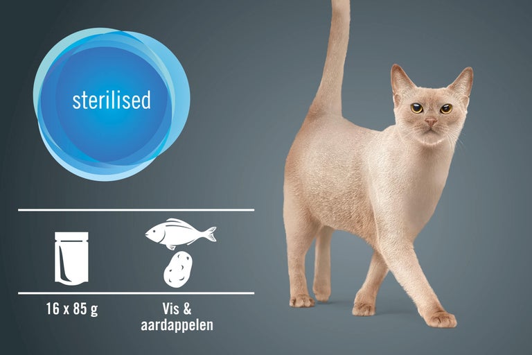 Kattenvoer voor gesteriliseerde katten met vis en aardappelen, 16 maal 85 gram