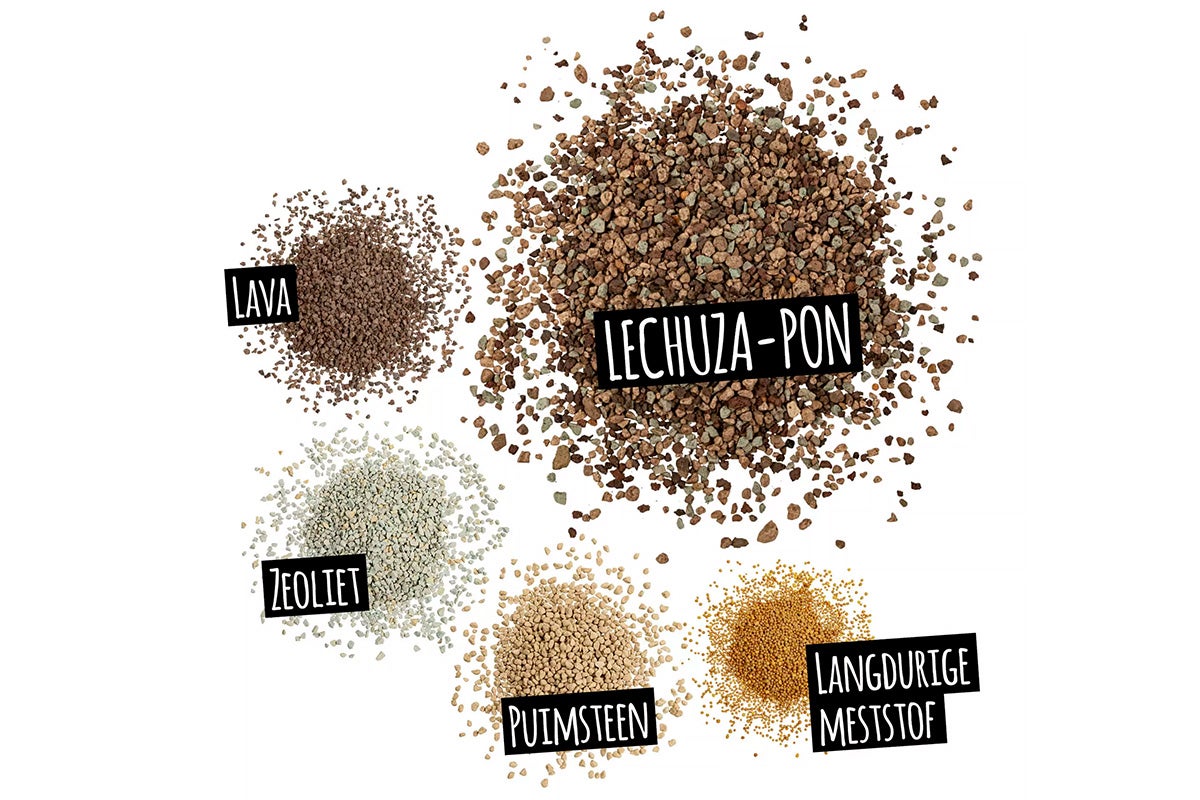 Weergave van verschillende toeslagstoffen voor planten: lava, Lechuza-Pon, zeoliet, puimsteen en langdurige meststof
