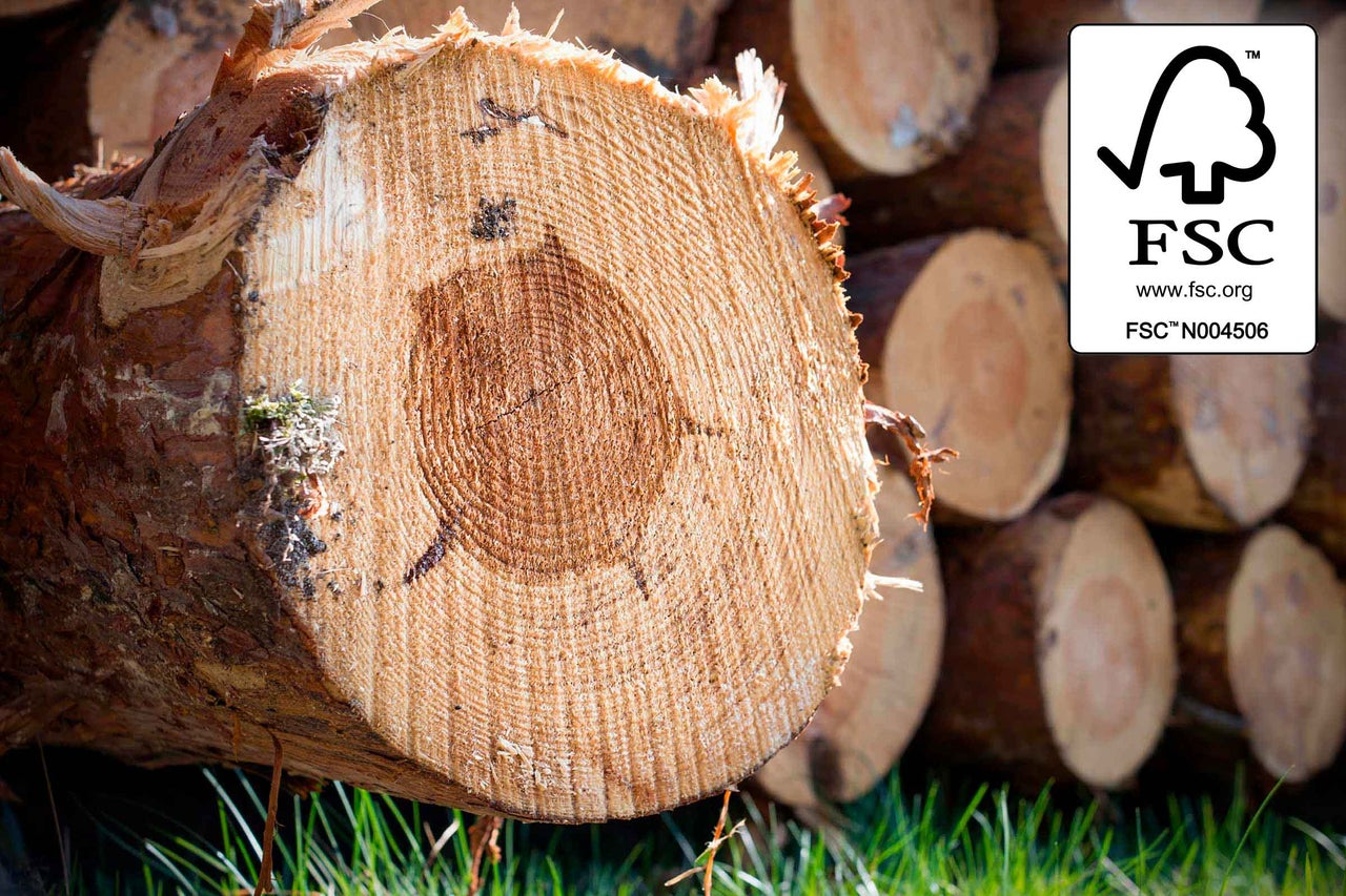Boomstam met jaarringen en Forest Stewardship Council keurmerk voor duurzaam bosbeheer.