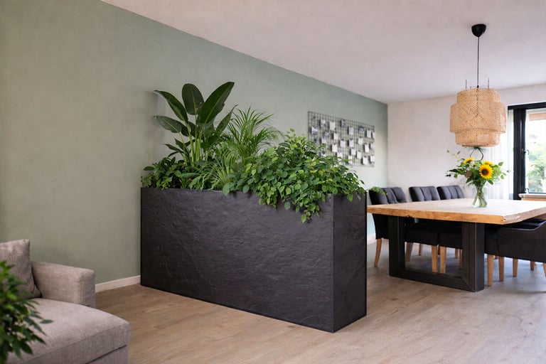 Grote, rechthoekige plantenbak met diverse planten in een lichte kamer.