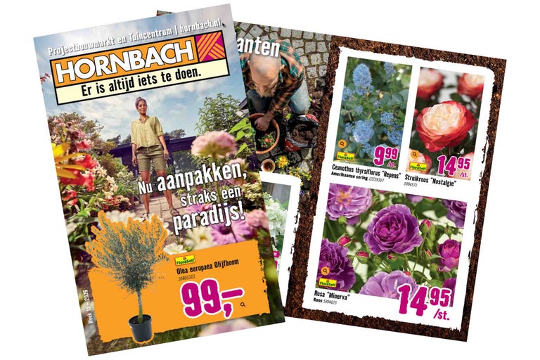 Hornbach Logo op een reclamefolder voor tuinplanten zoals een olijfboom, Amerikaanse sering en rozen met prijsinformatie.