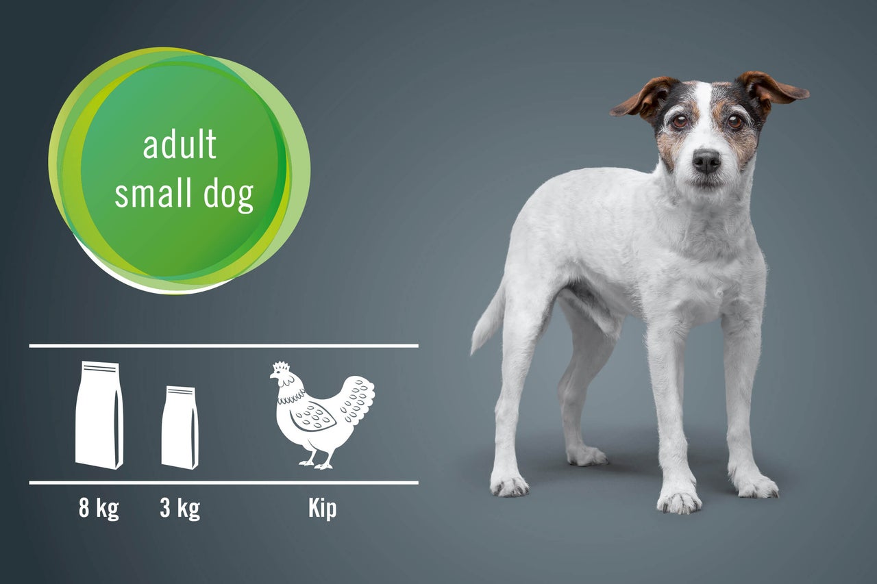 Illustratie van hondenvoer voor kleine, volwassen honden met een kipsmaak in verpakkingen van 8 kg en 3 kg.