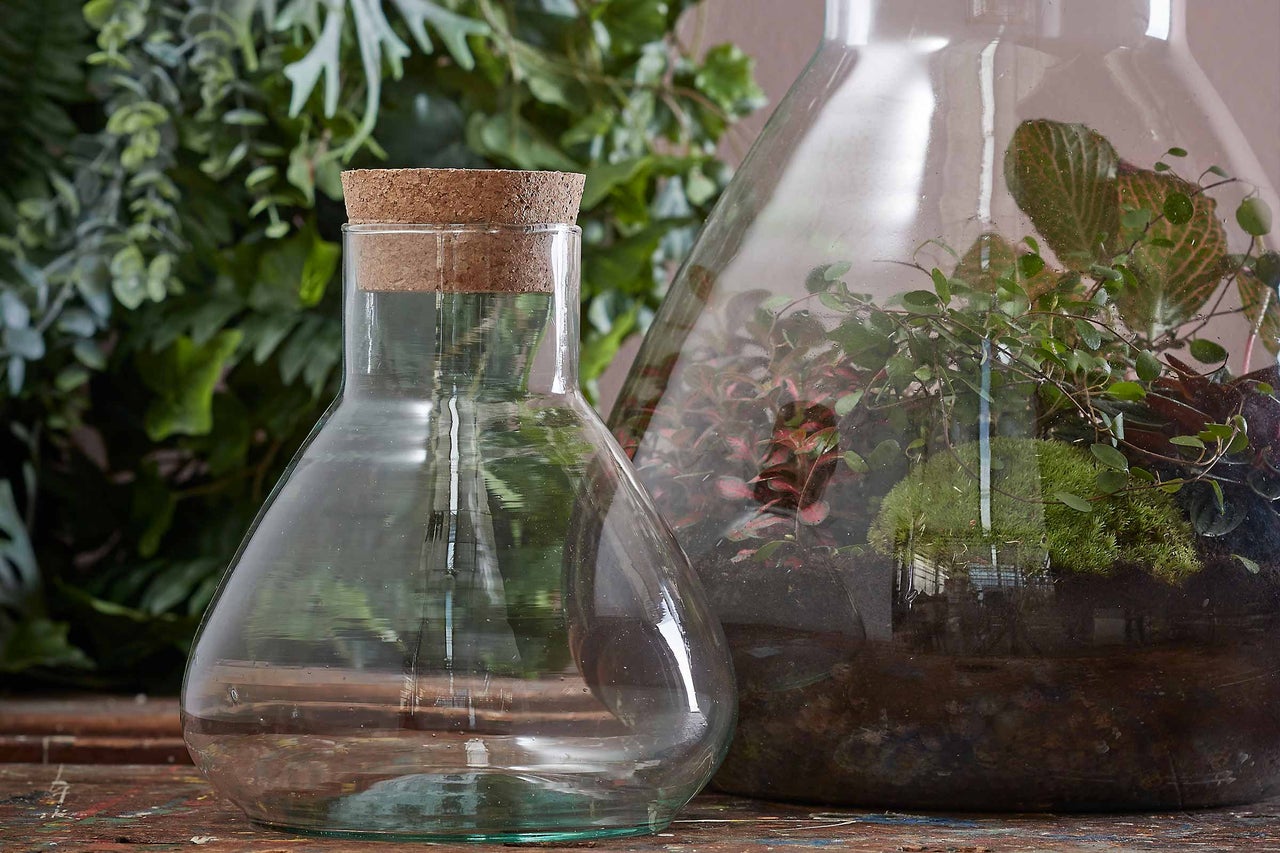 Glazen pot met kurk en beplante glazen vaas