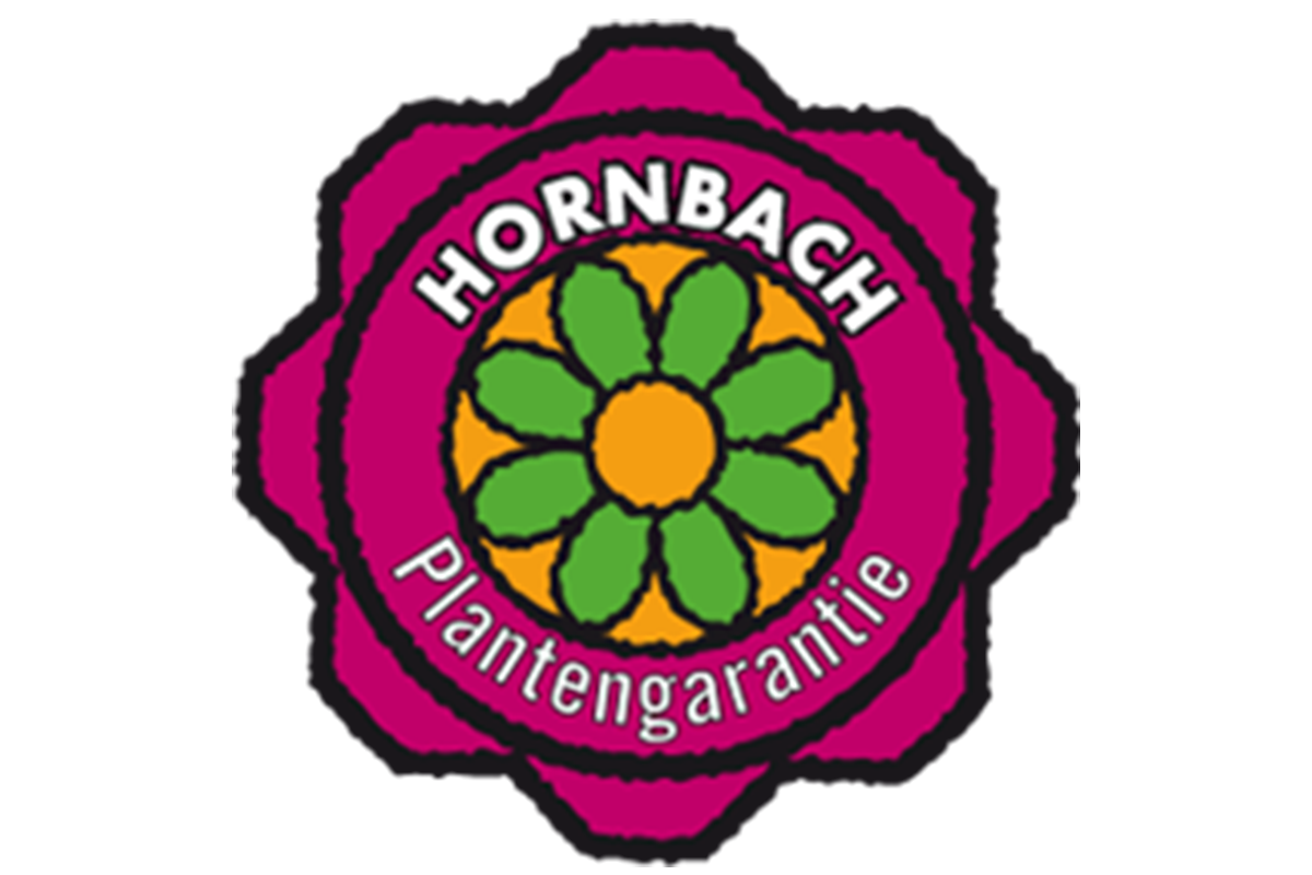 Een Hornbach medewerker adviseert een klant aan een balie