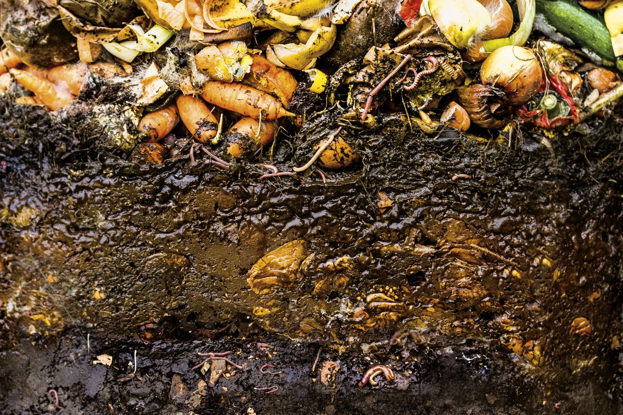 Close-up van compost met etensresten en wormen