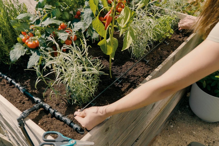 Hoge plantenbak met irrigatiesysteem en diverse groenten zoals tomaten en paprika's