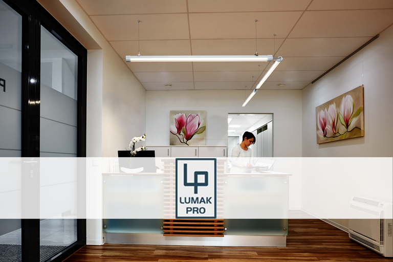 Kantoorruimte met receptie, verlicht met lineaire ledlampen en gedecoreerd met een schilderij