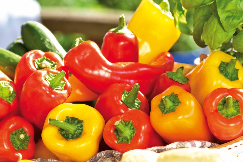 Groentes verbouwen | paprika | HORNBACH Groentes verbouwen | paprika | HORNBACH