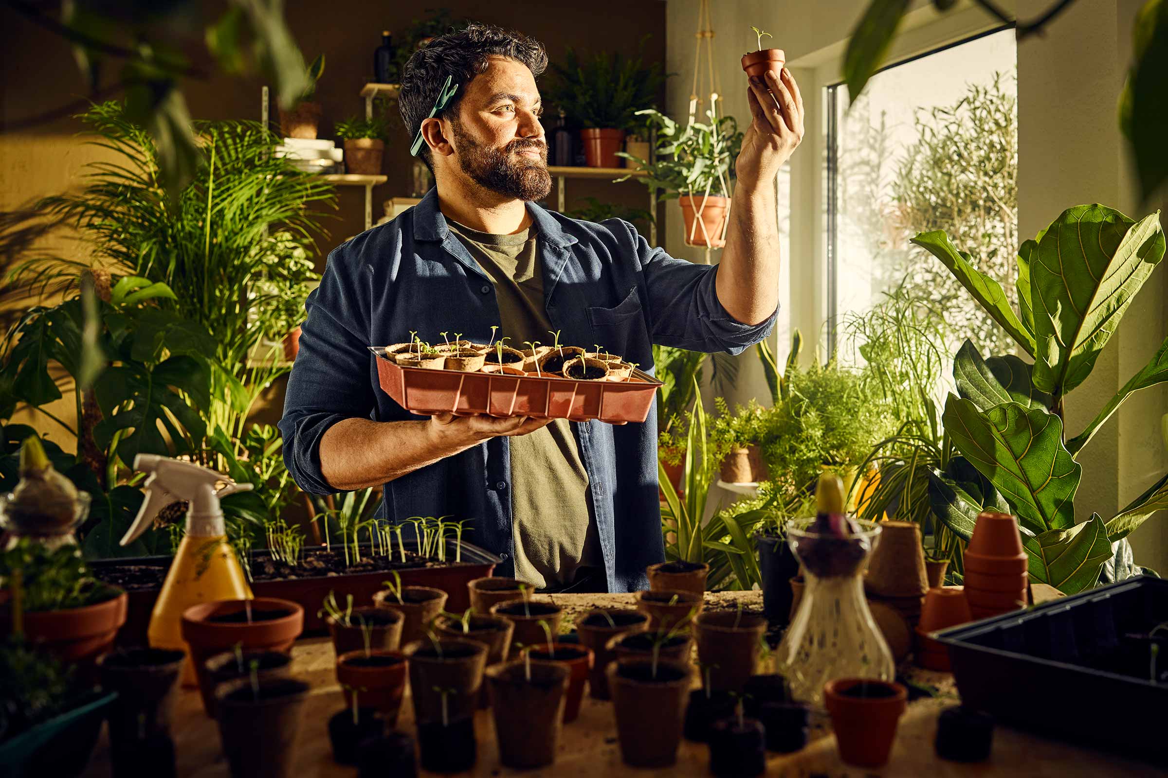 Man bekijkt zaailing in kweekpot voor raam met planten.