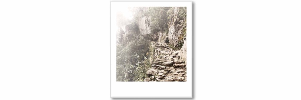 Lost City Polaroid SELECTION . HORNBACH Lost City Polaroid SELECTION . HORNBACH