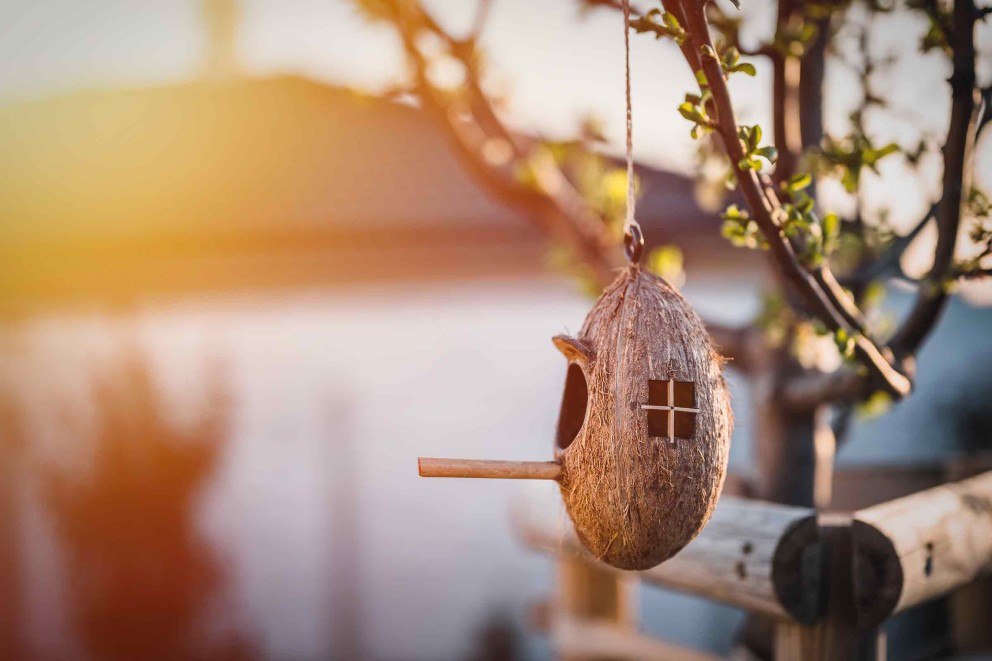Vogelhuisje van kokosnootschil met zitstok hangt aan een boom