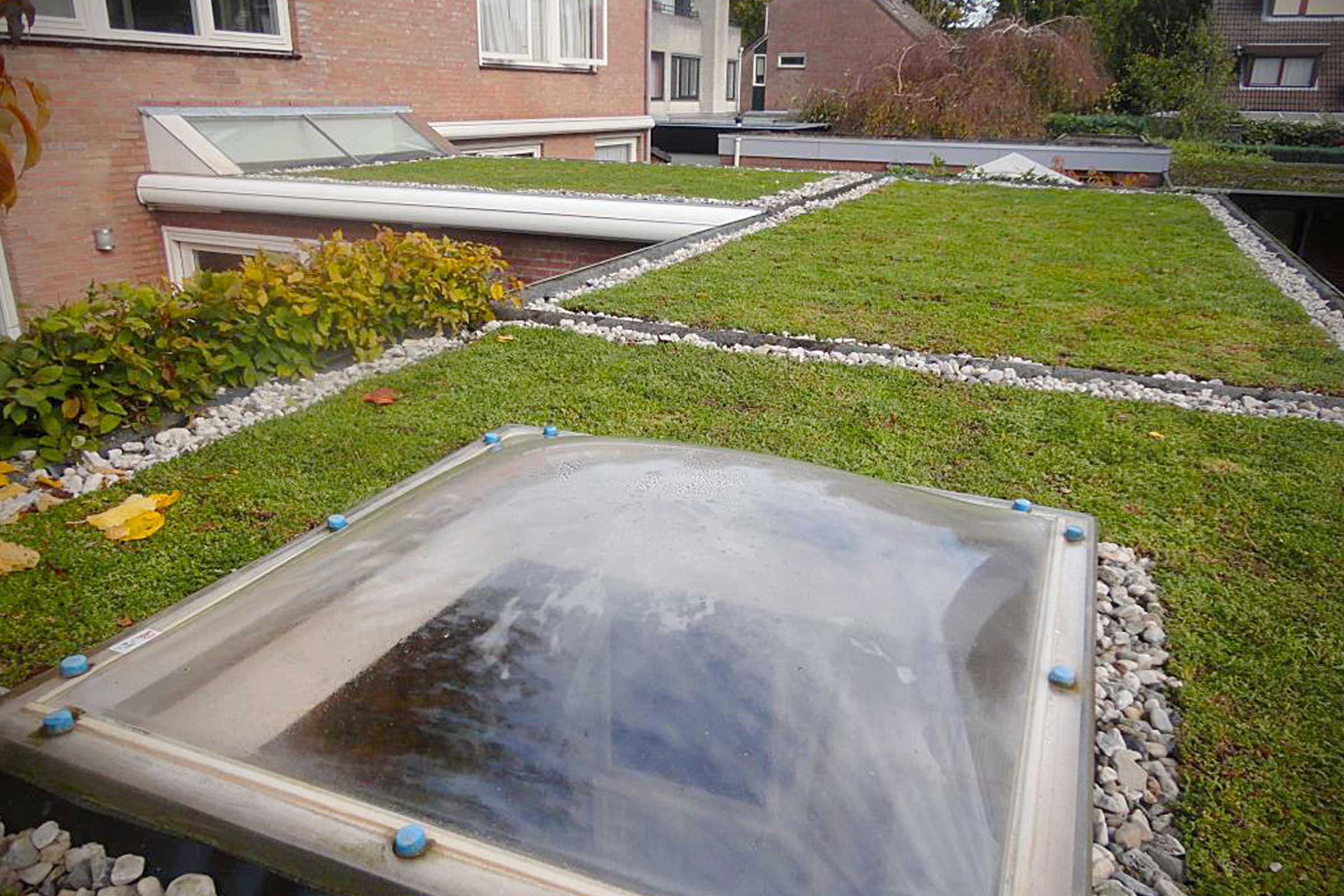 Uitzicht op een huis met een groendak en dakramen, beplant met gras en omgeven door stenen.