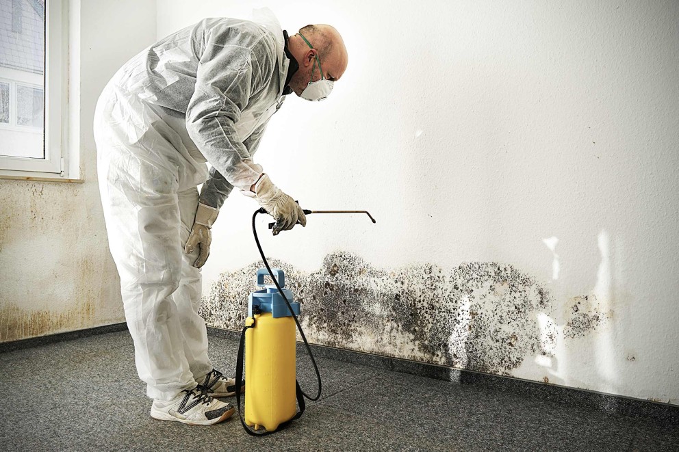 Verwijder schimmel van de muur . HORNBACH Verwijder schimmel van de muur . HORNBACH