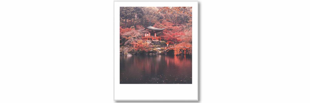 Colorful Kyoto Polaroid SELECTION . HORNBACH Colorful Kyoto Polaroid SELECTION . HORNBACH