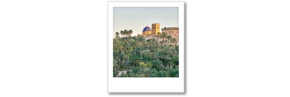 Palms of Valencia Polaroid SELECTION . HORNBACH Palms of Valencia Polaroid SELECTION . HORNBACH