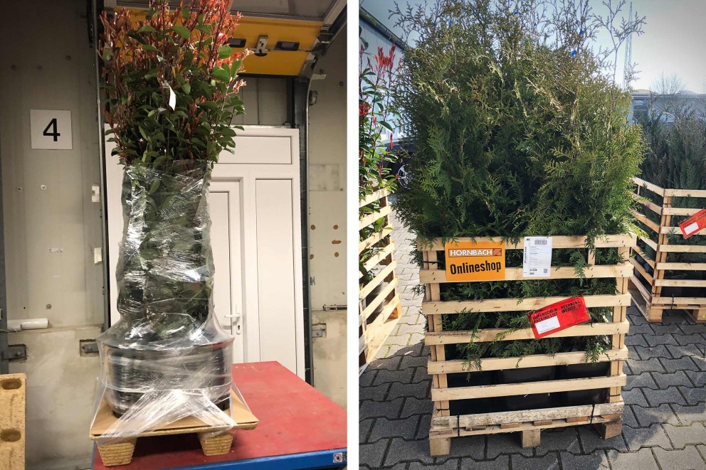 Pflanzenversand Lagerung Verpackung Stueckgut Pflanzenversand Lagerung Verpackung Stueckgut