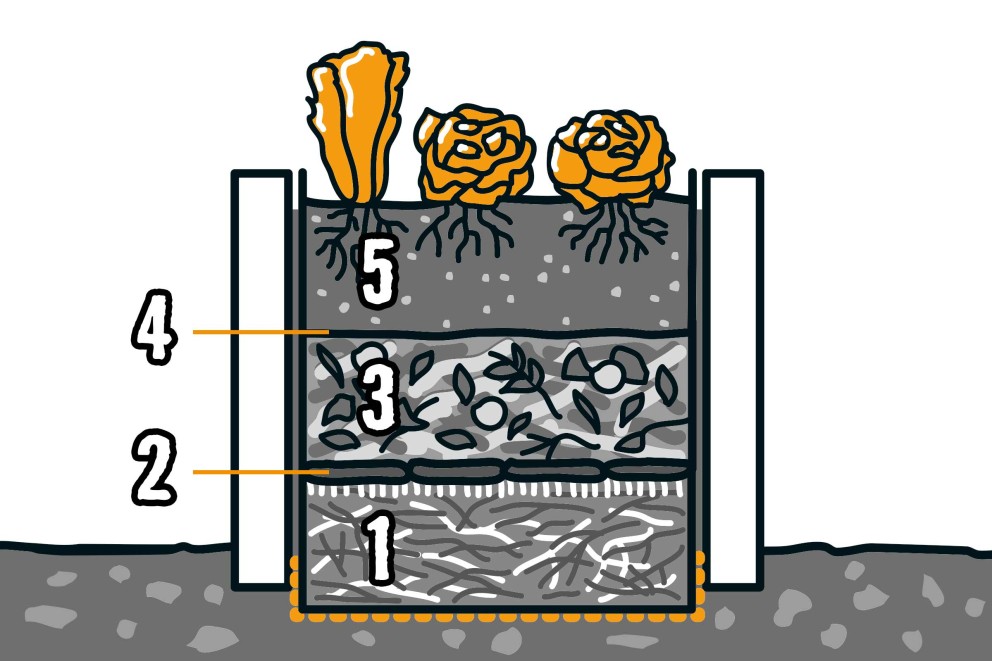 Verhoogde border als groentetuin | HORNBACH! Verhoogde border als groentetuin | HORNBACH!