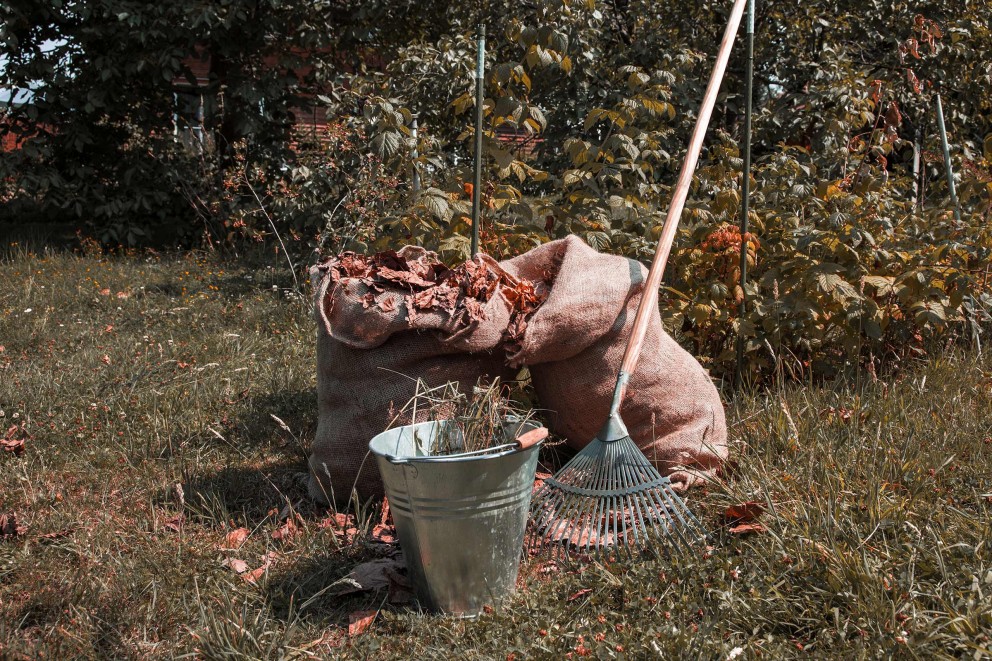 Herfstbladeren . HORNBACH