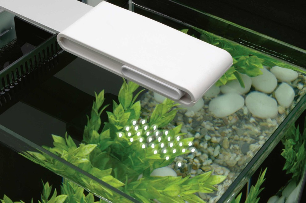 Aquariumverlichting Aquariumverlichting