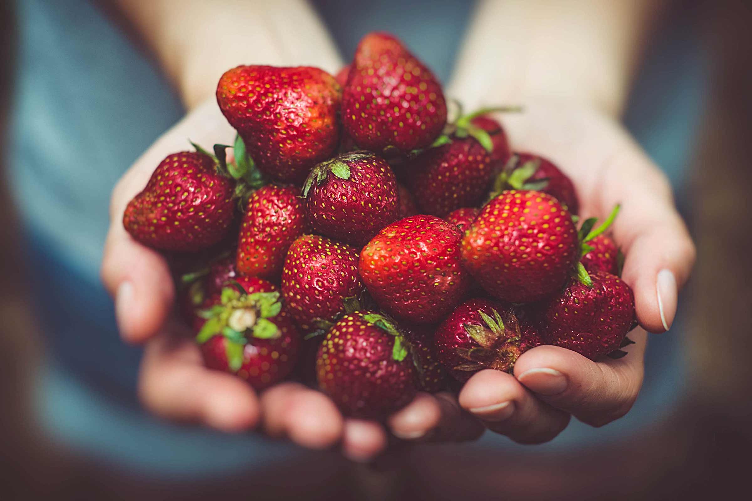 Een handvol verse aardbeien